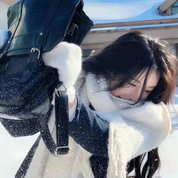 银杏证人2024海报